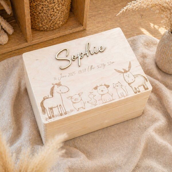 Erinnerungskiste baby Geburt Geschenk personalisiert graviert Laser Einzigartiges geburtsgeschenk